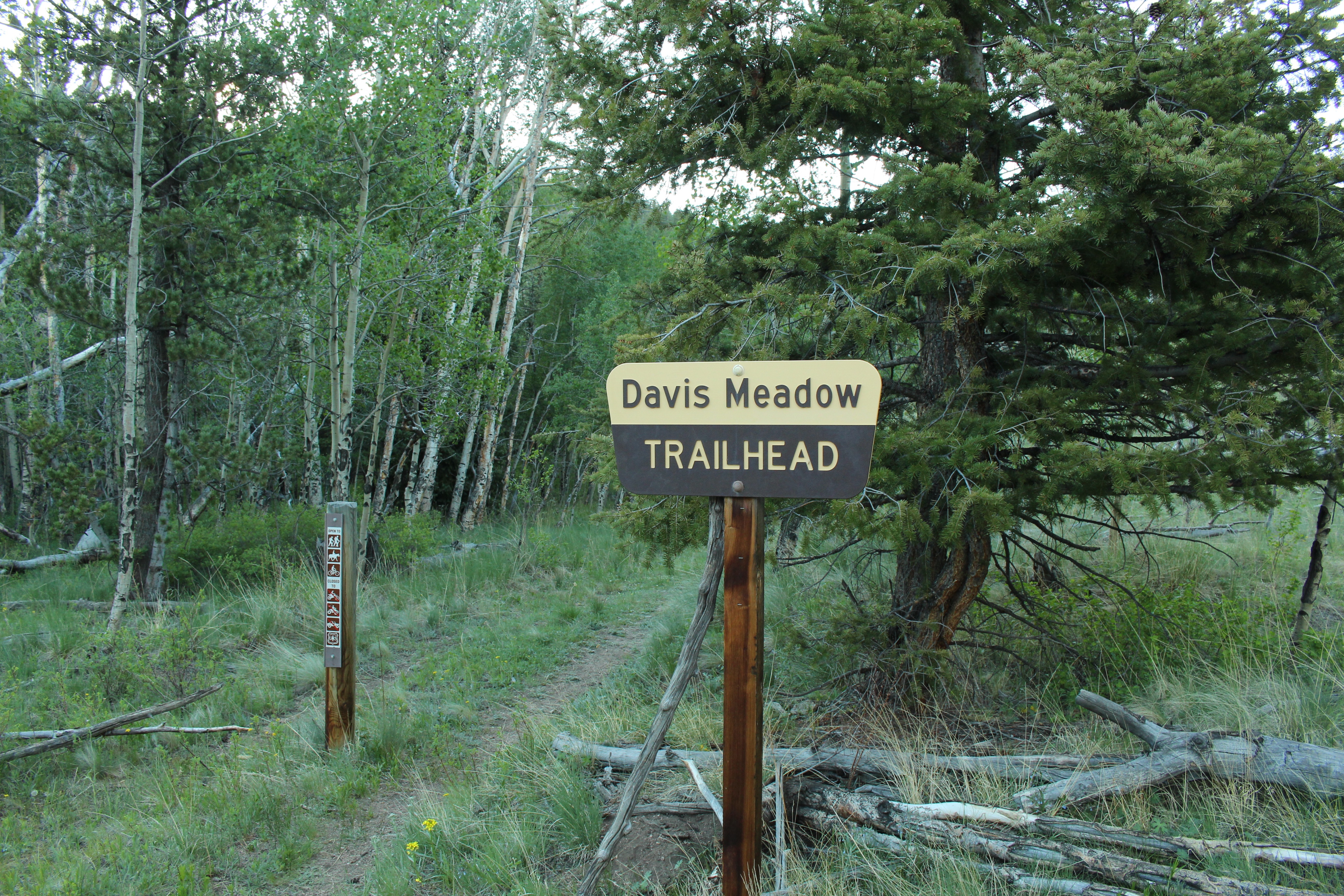 Hike Davis Meadow