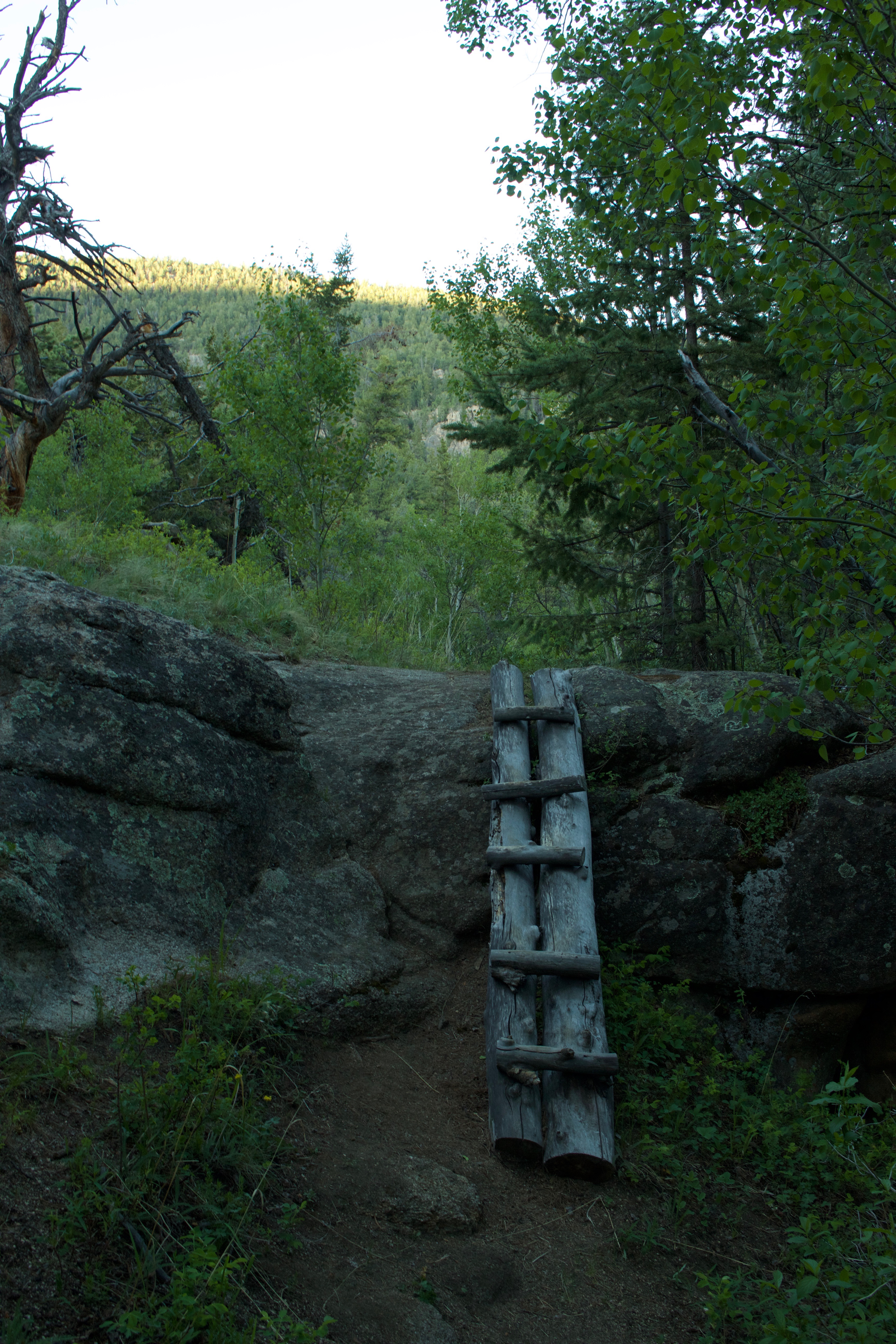 Hike Davis Meadow