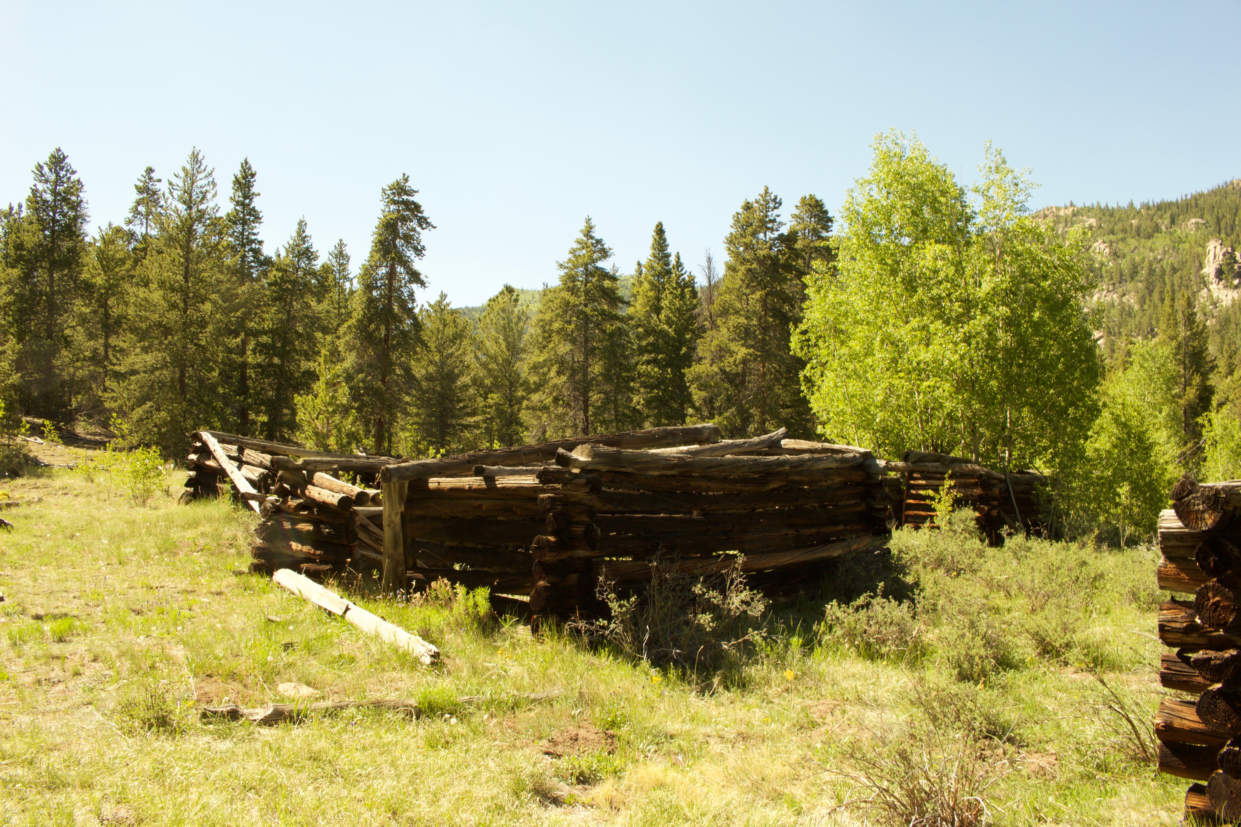 Hike Davis Meadow