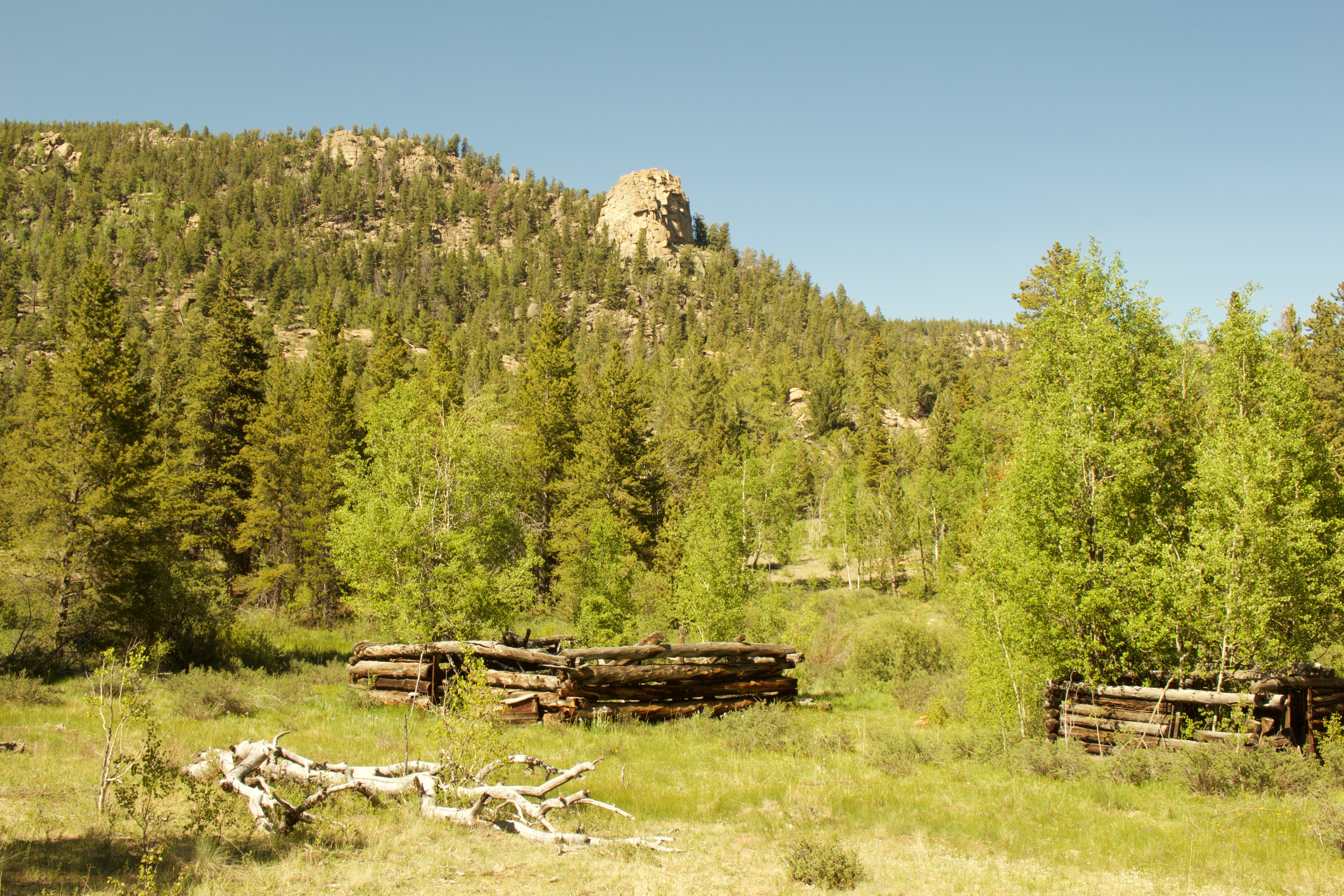 Hike Davis Meadow