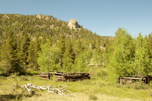 Hike Davis Meadow