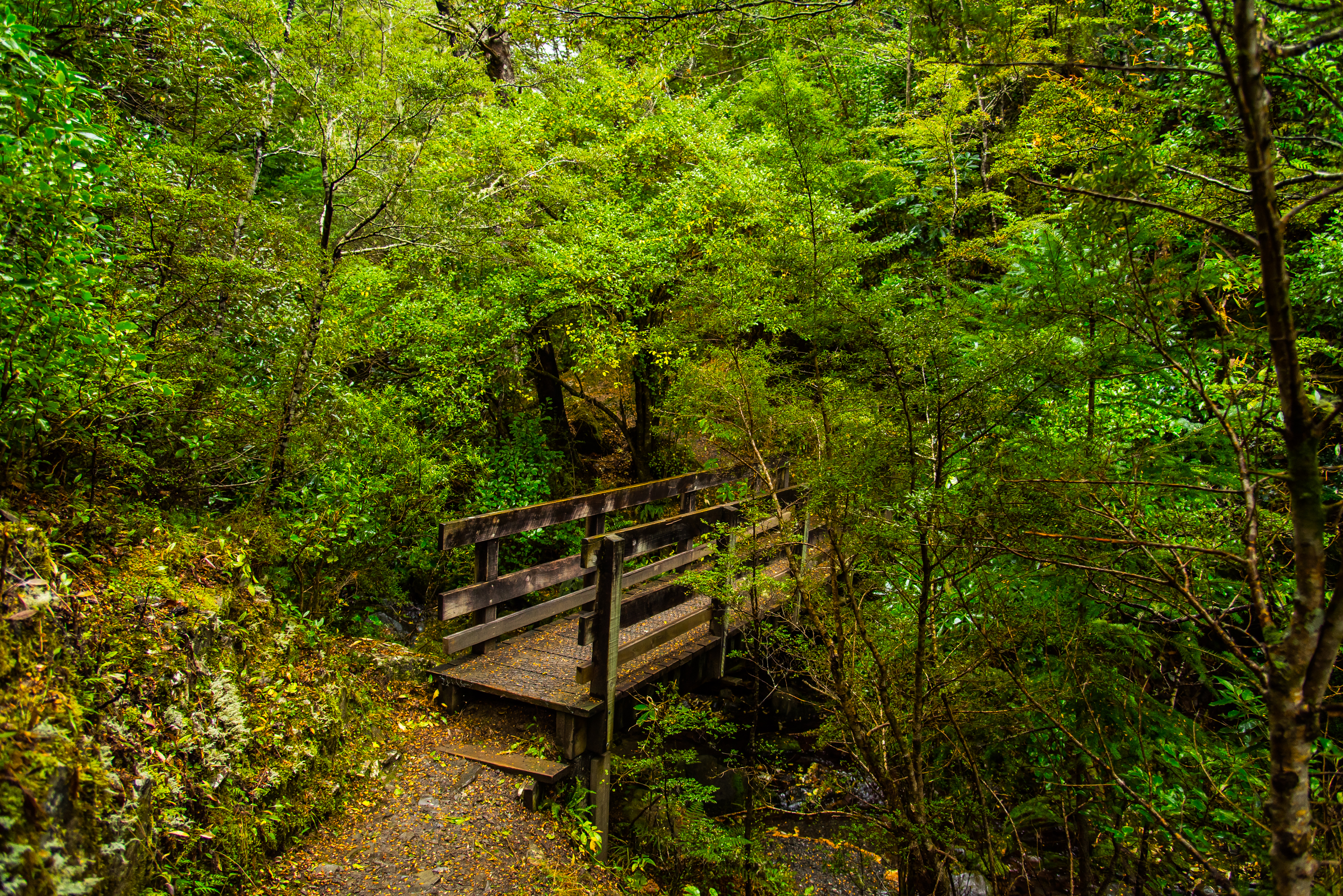 Hike the Waterfall Track
