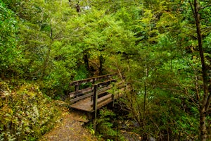 Hike the Waterfall Track