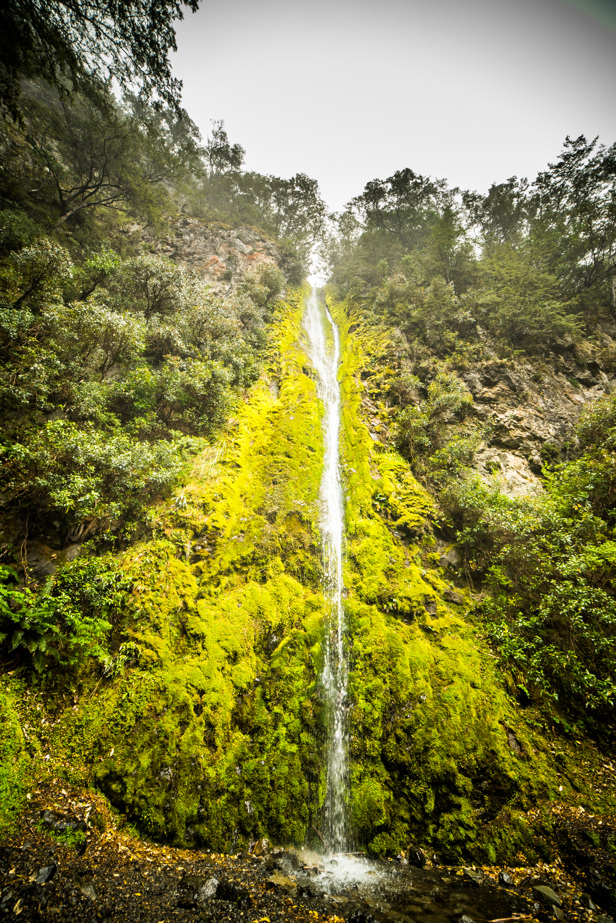 Hike the Waterfall Track
