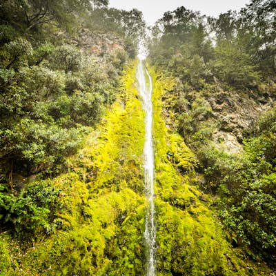 Hike the Waterfall Track