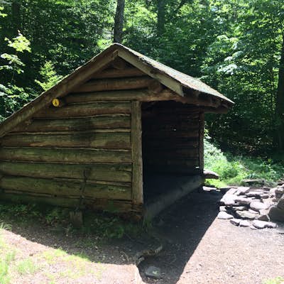 Hike to Camp & Bushwhack to Fir Mountain and Big Indian Mountain in the Catskills