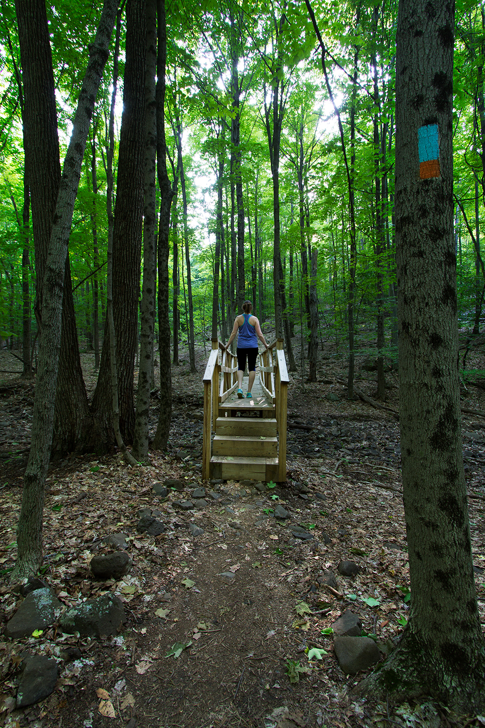 Hike the Ragged Mountain Memorial Preserve