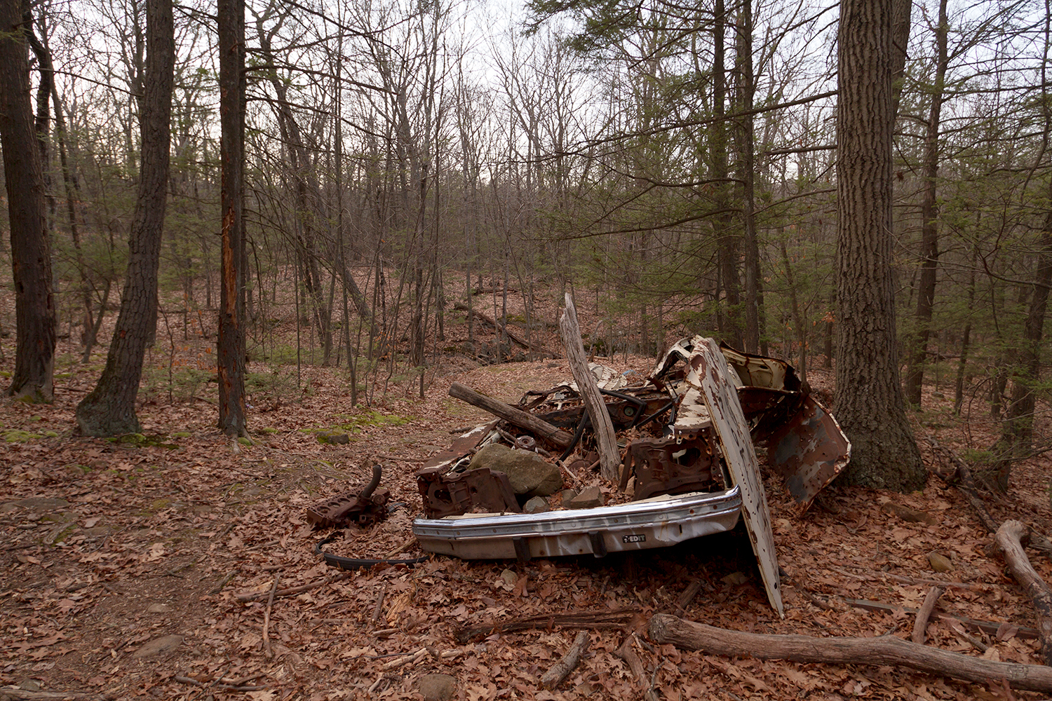 Hike the Ragged Mountain Memorial Preserve