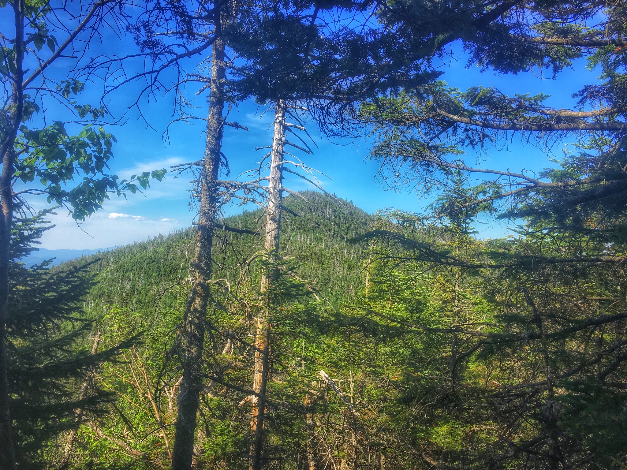 McKenzie and Haystack Mountains 