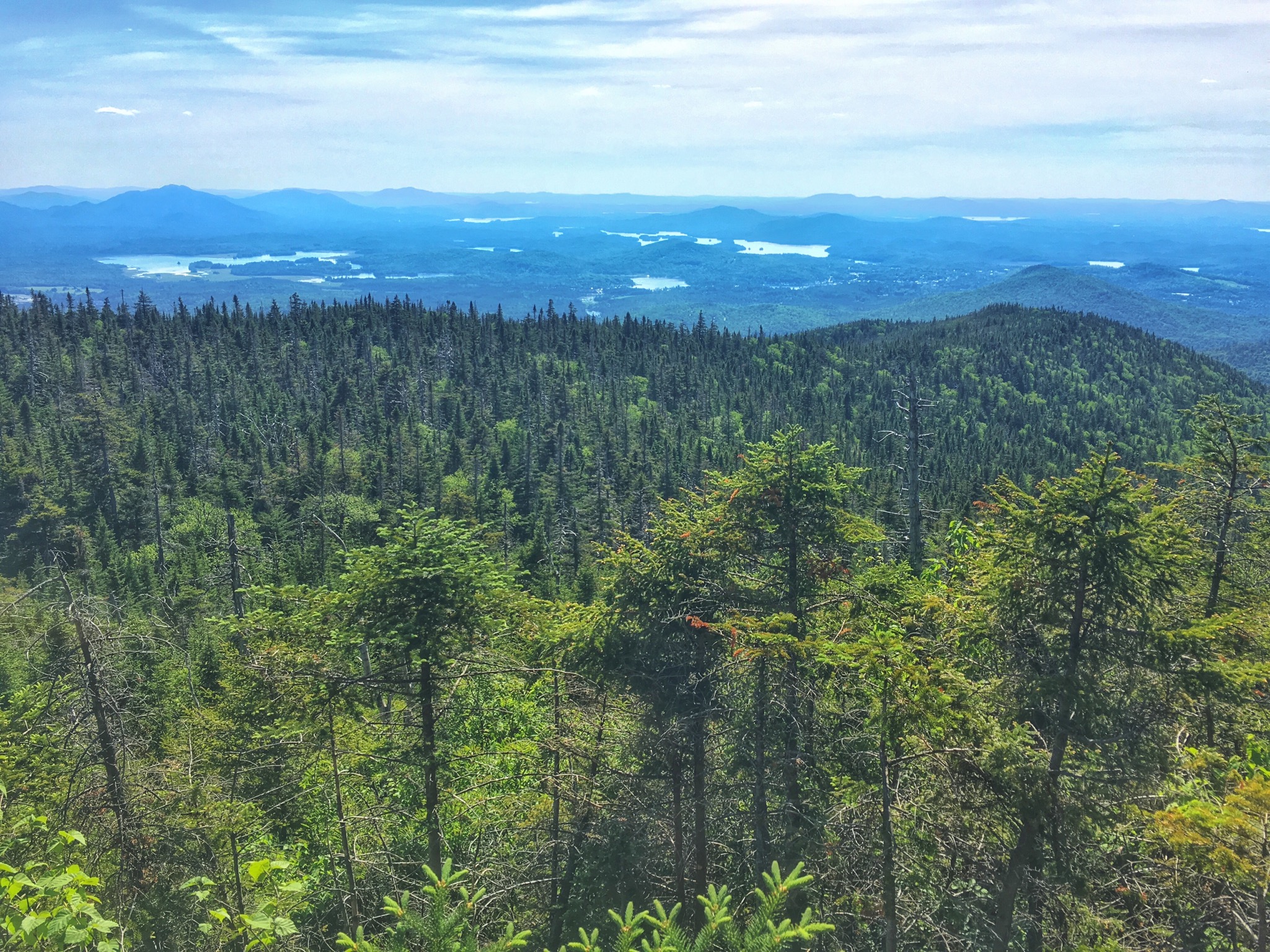 McKenzie and Haystack Mountains 