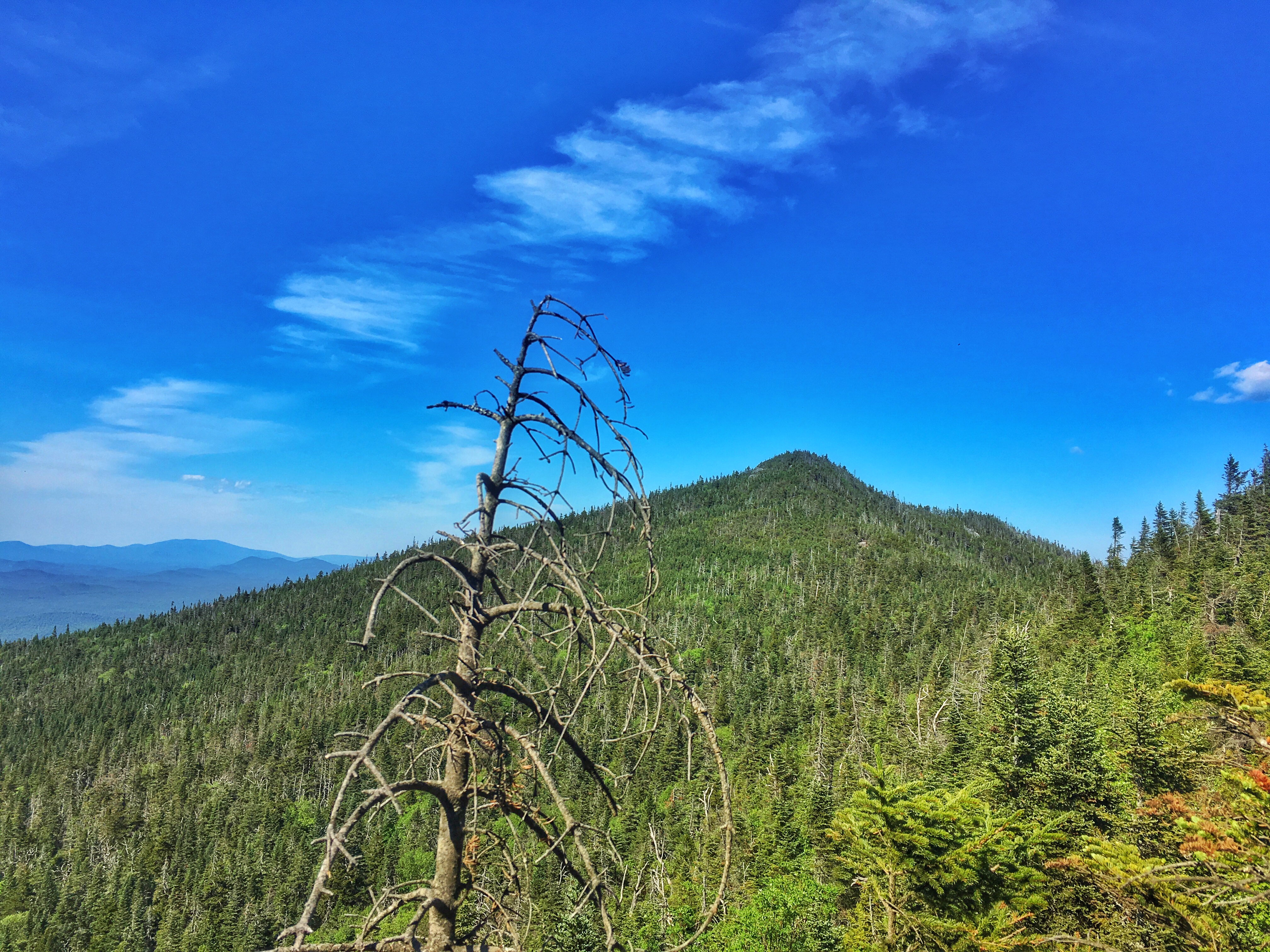 McKenzie and Haystack Mountains 