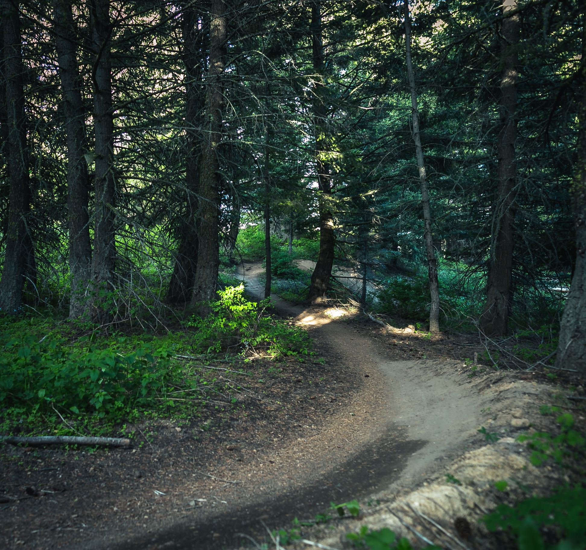Mountain Bike 'Around the Mountain' at Bogus Basin