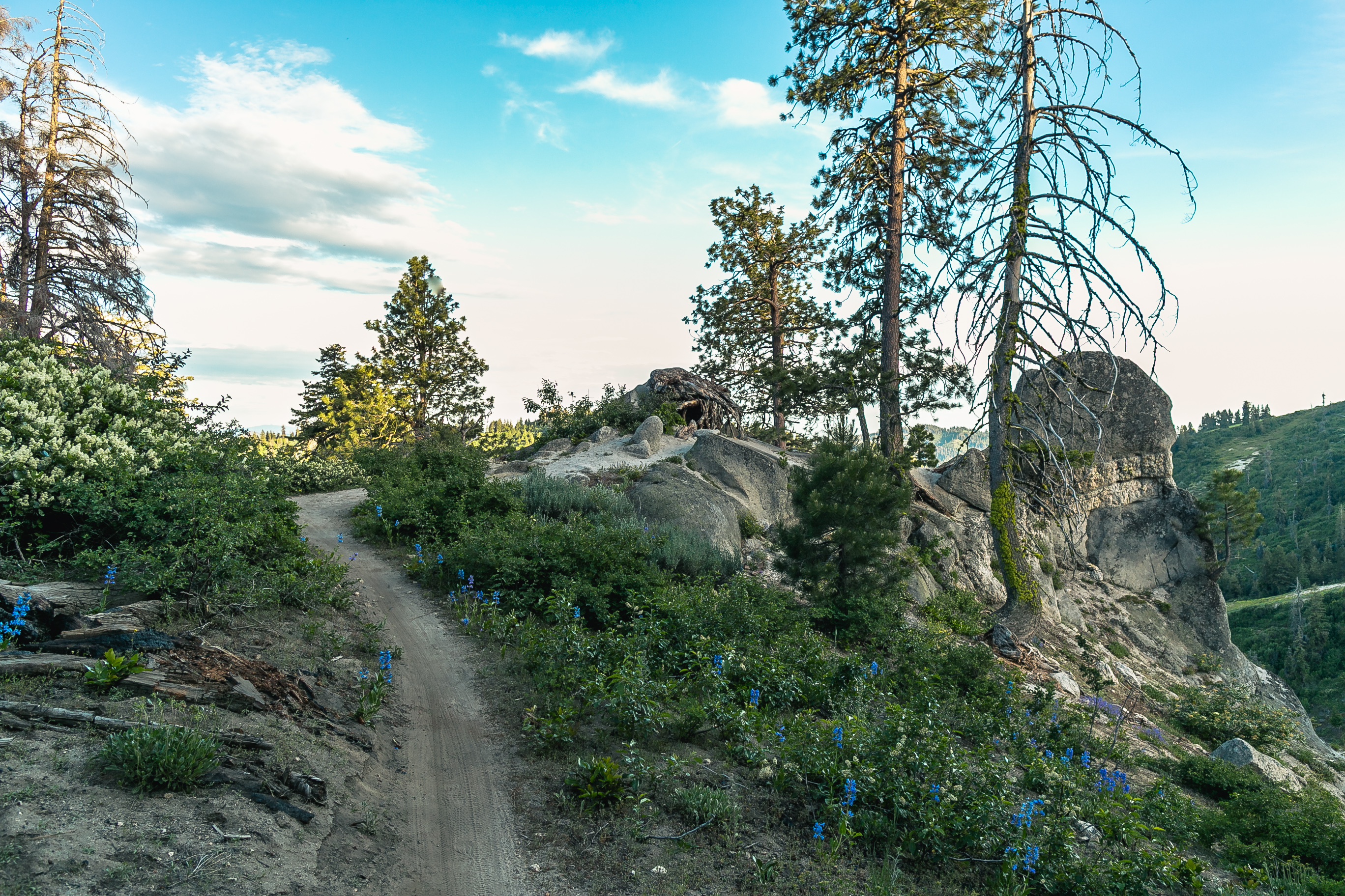 Mountain Bike 'Around the Mountain' at Bogus Basin