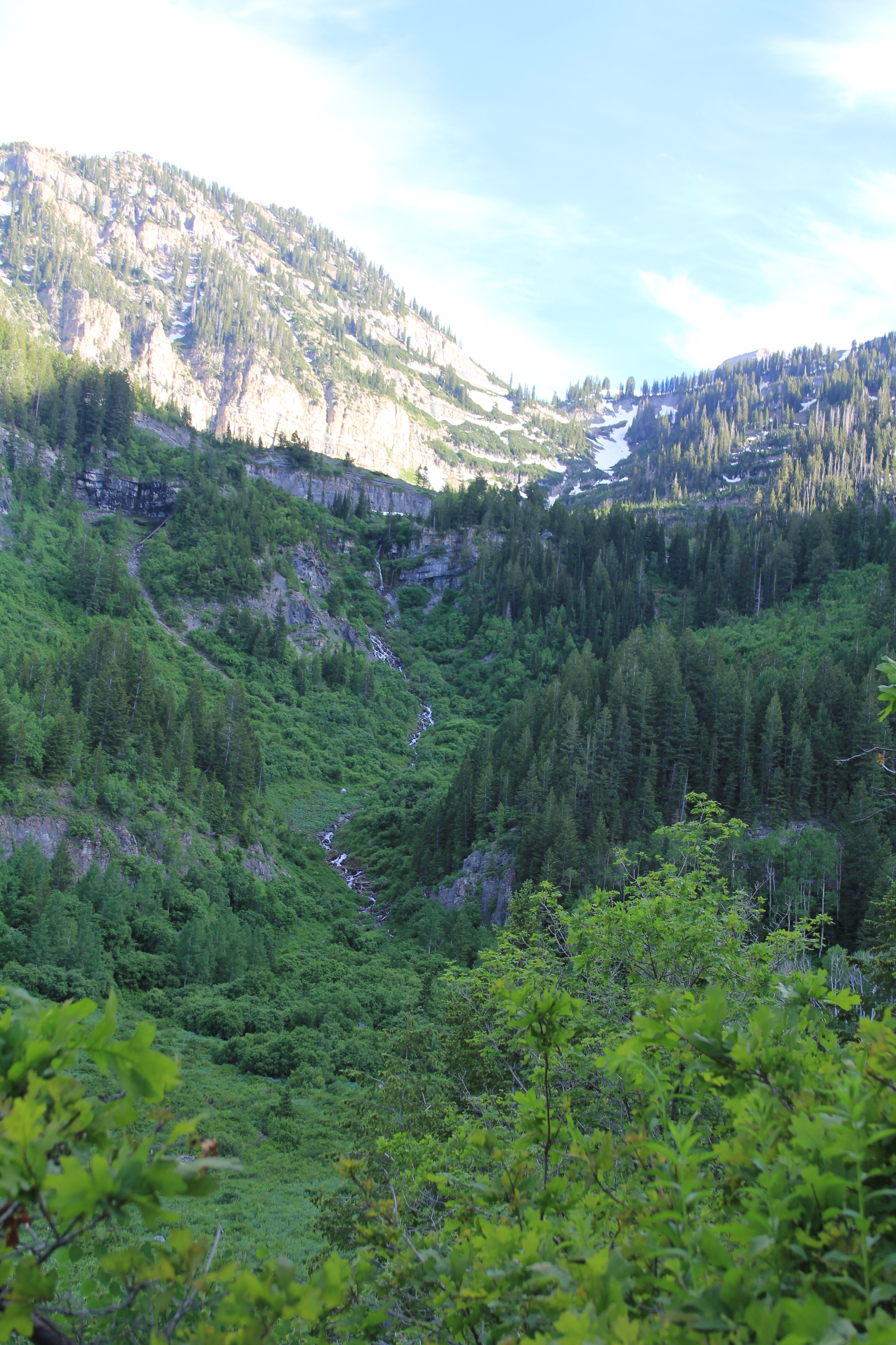 Scout Falls