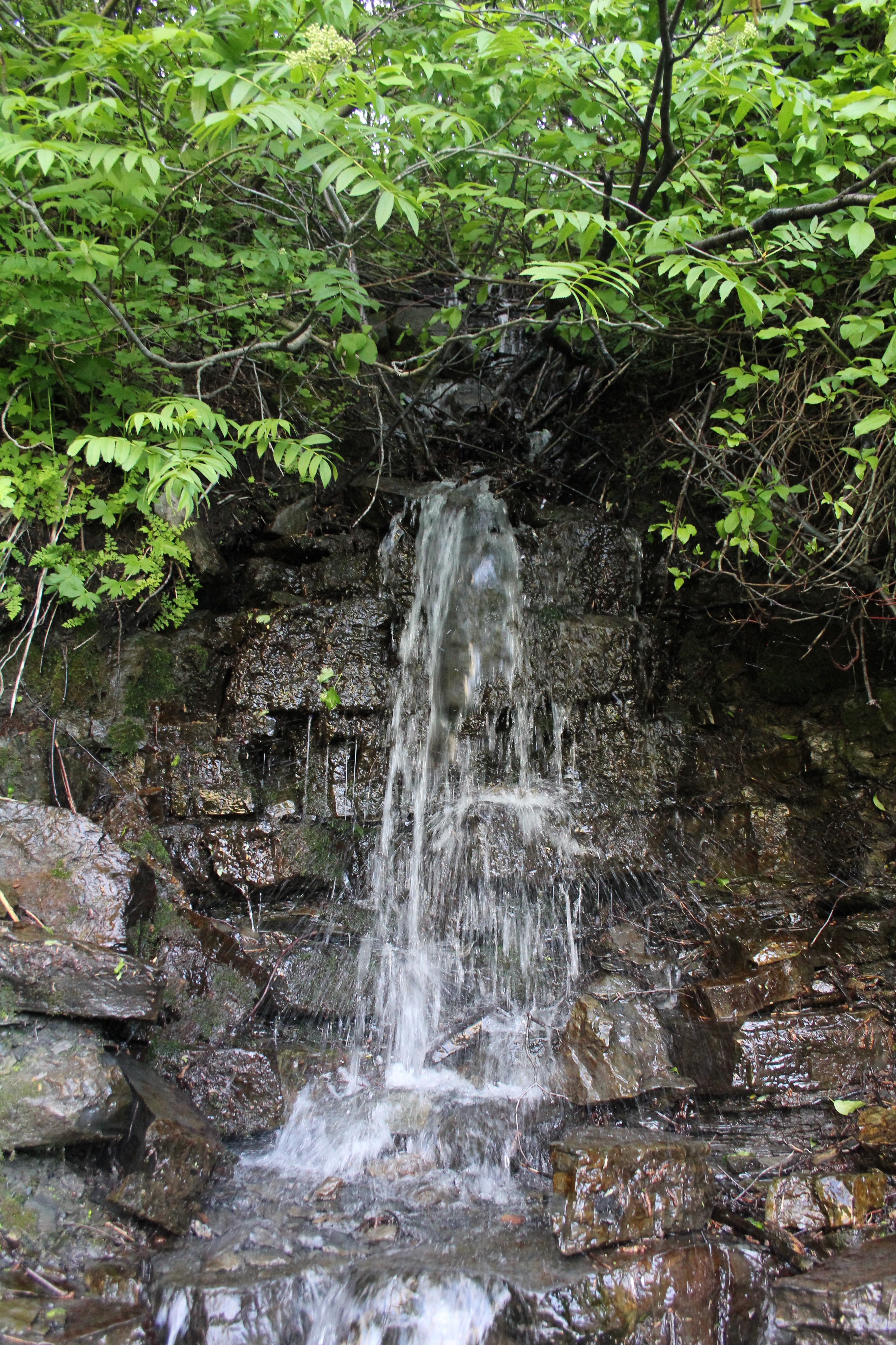 Scout Falls