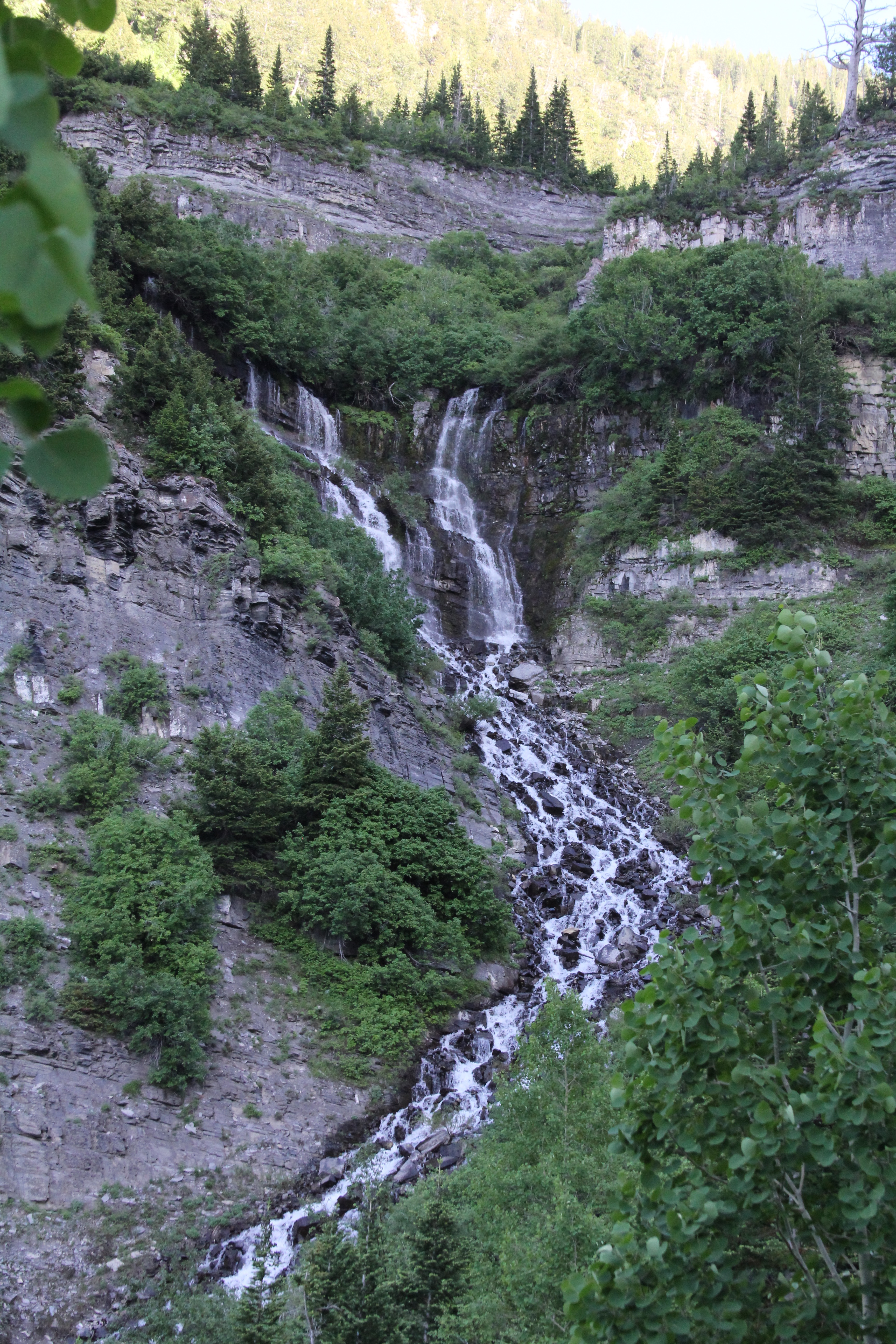 Scout Falls