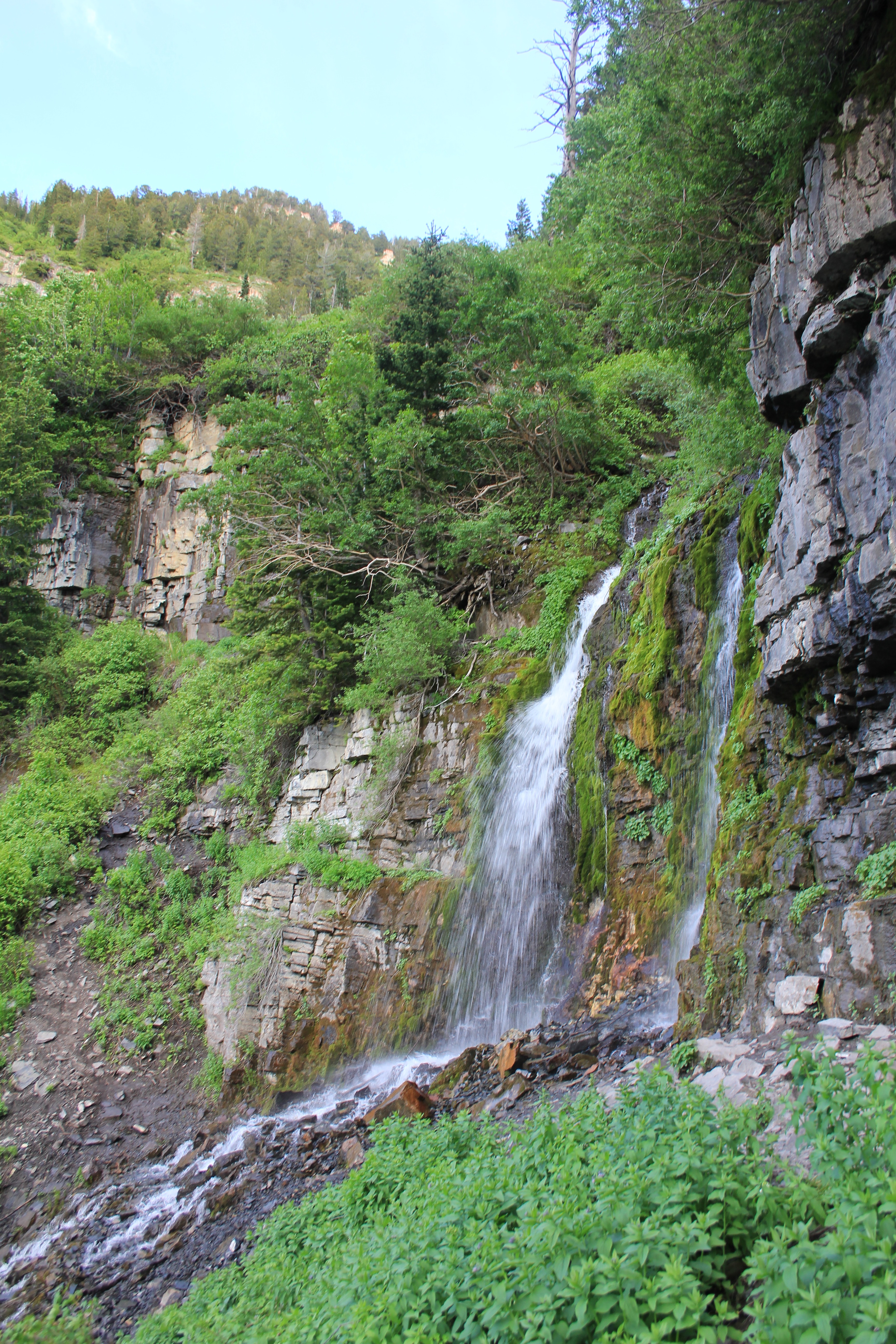 Scout Falls