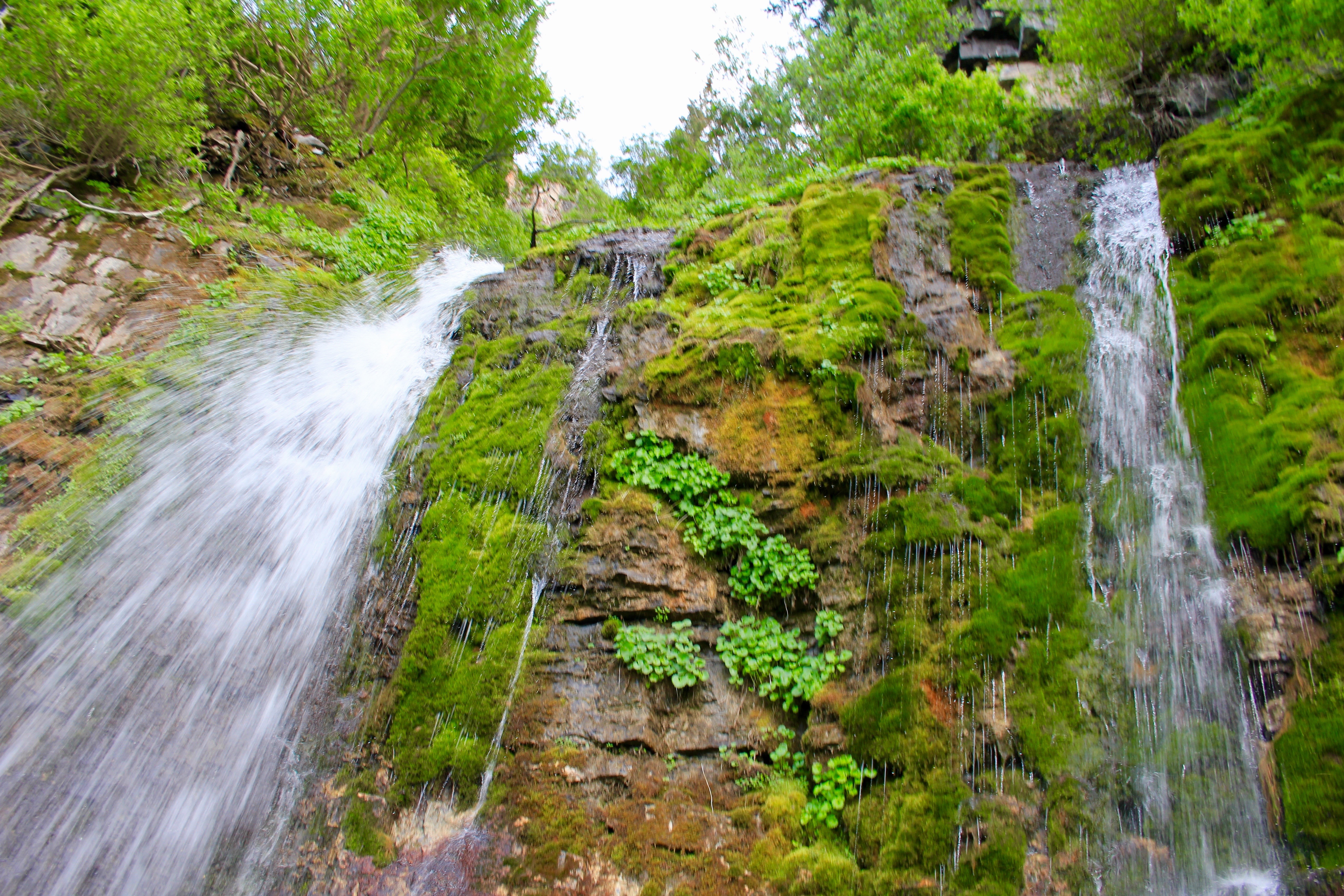 Scout Falls