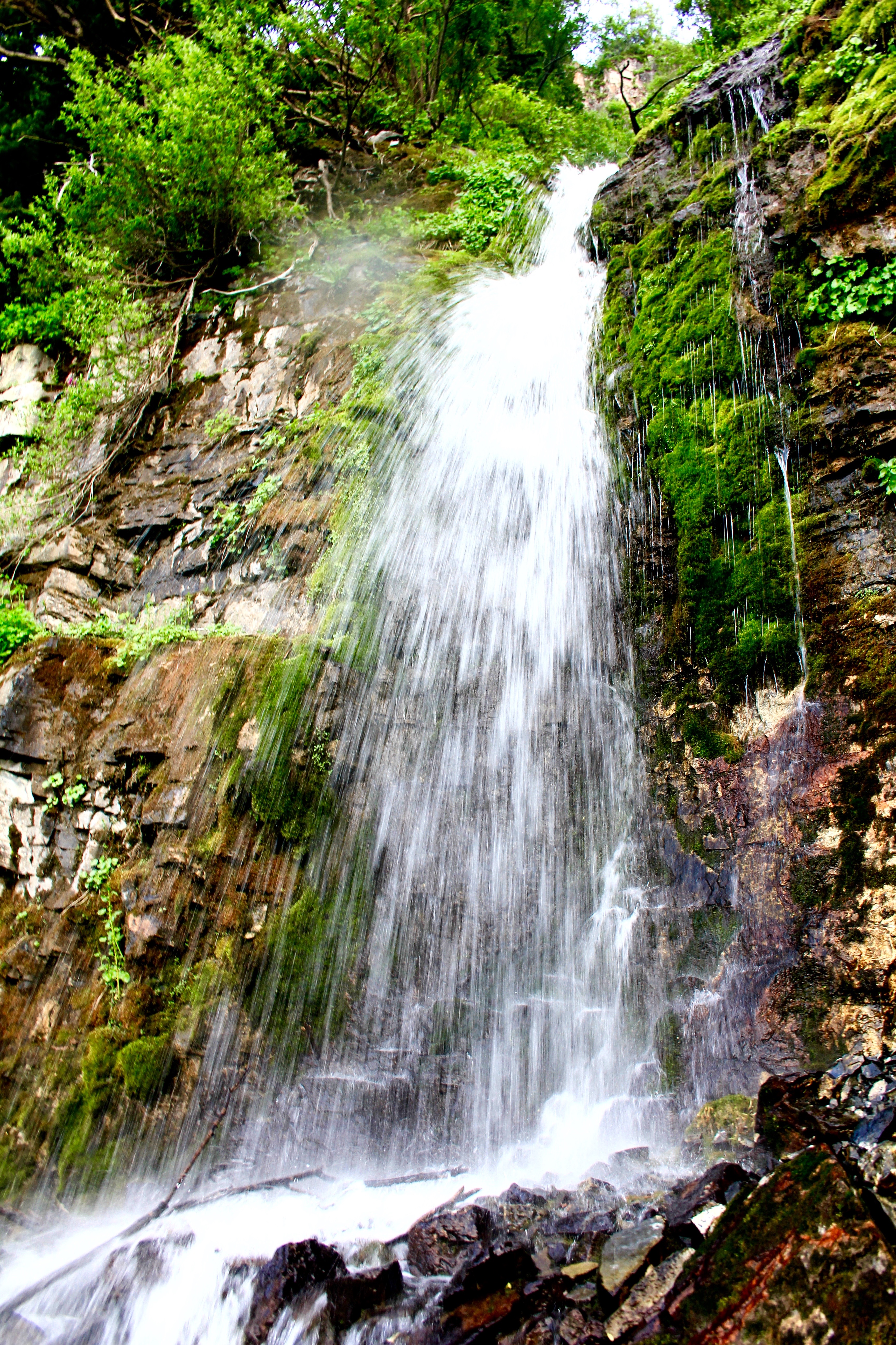 Scout Falls