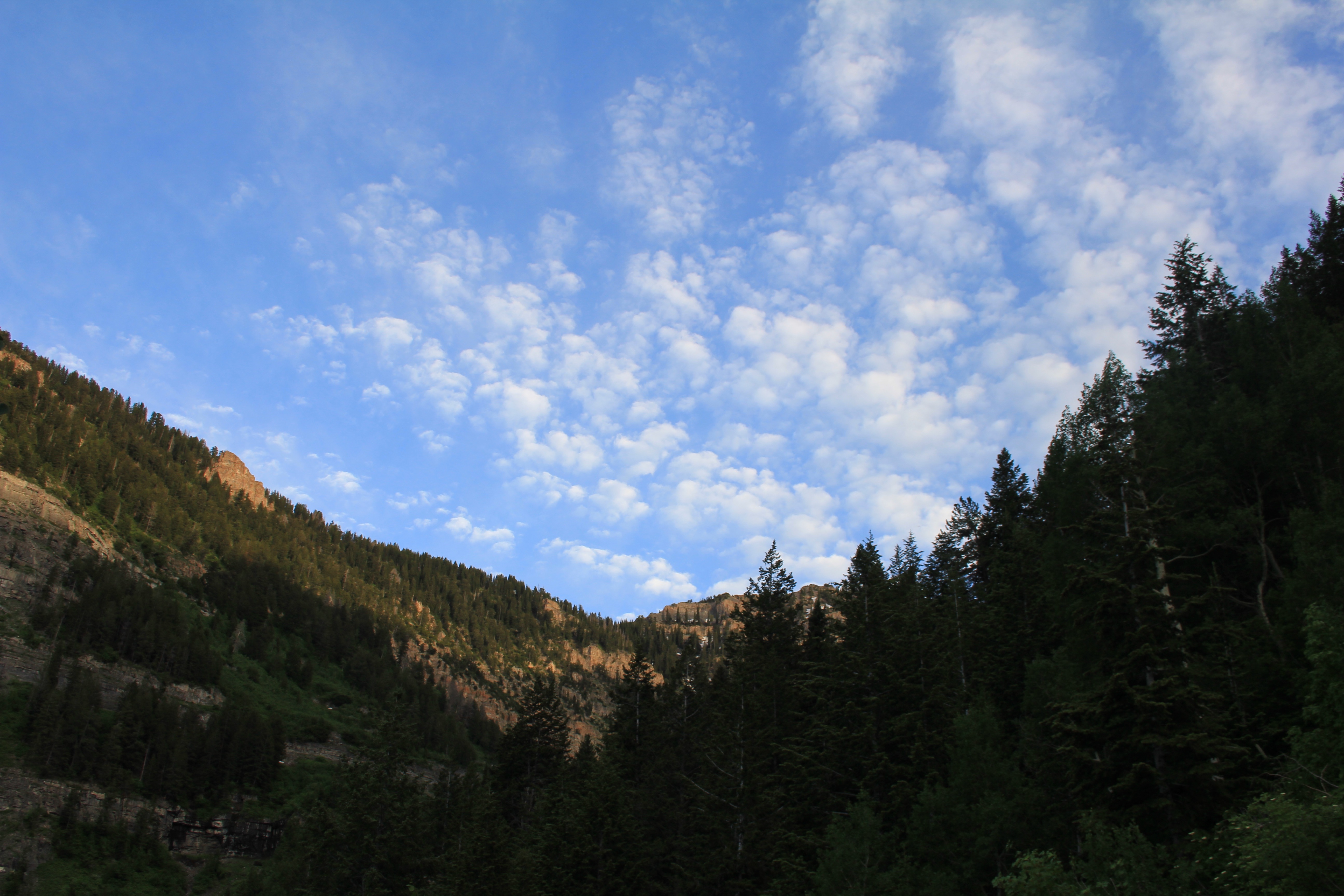 Scout Falls
