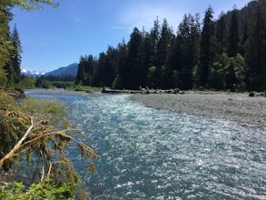 Hike the Hoh River Trail to Five Mile Island