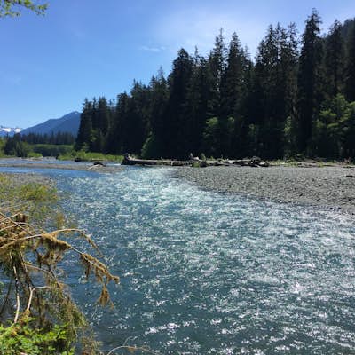 Hike the Hoh River Trail to Five Mile Island