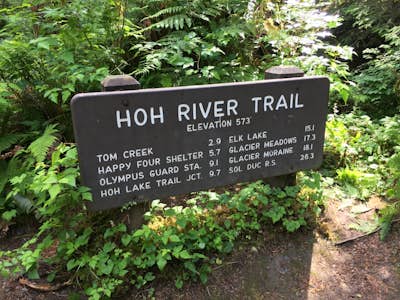 Hike the Hoh River Trail to Five Mile Island