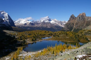  Hike the Yuckness Ledges in Yoho National Park