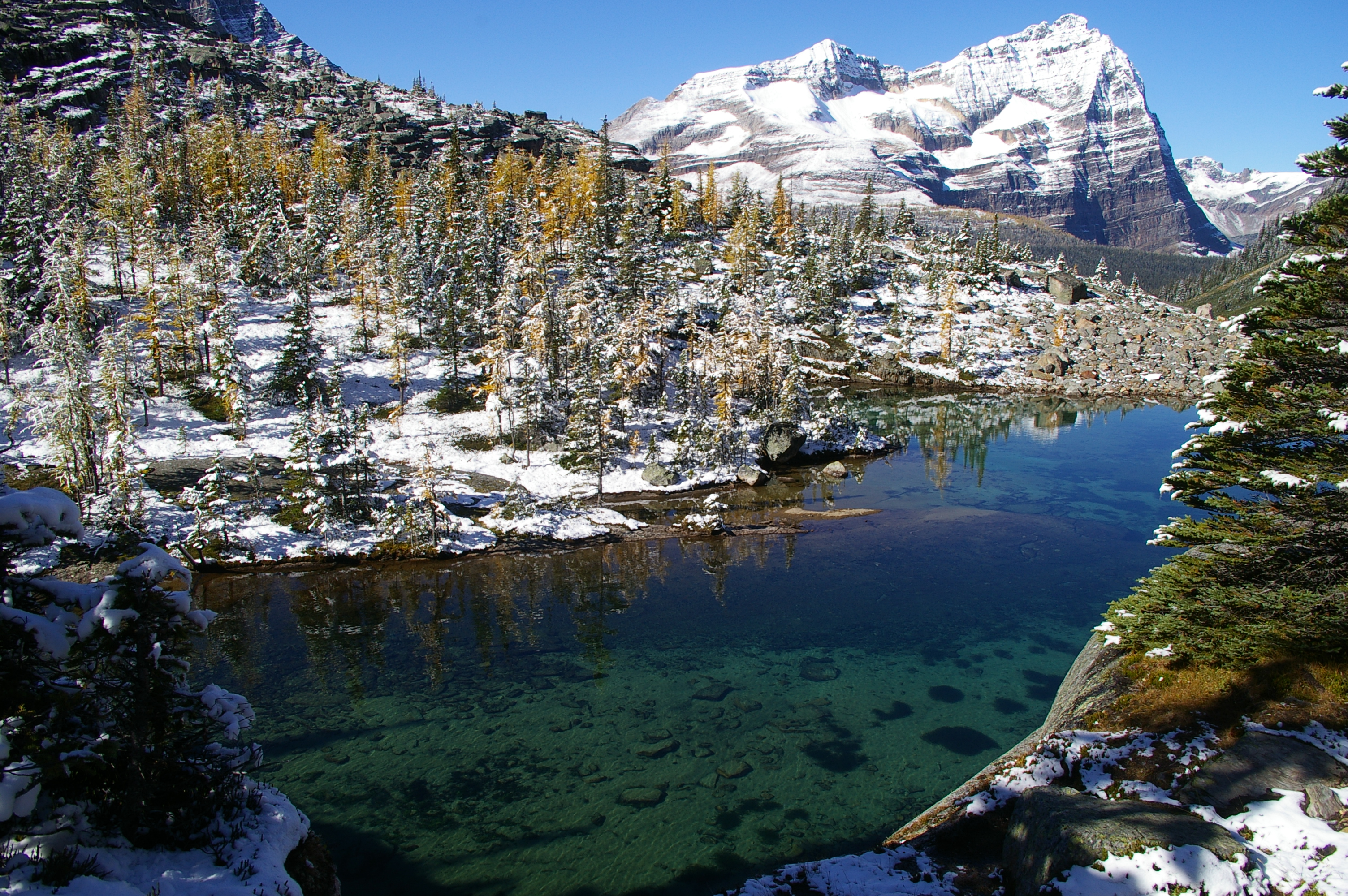  Hike the Yuckness Ledges in Yoho National Park