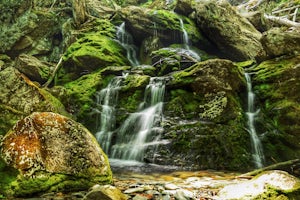 Hike to Race Brook Falls