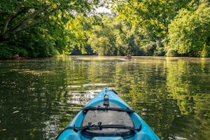 Kayak the Cahaba River