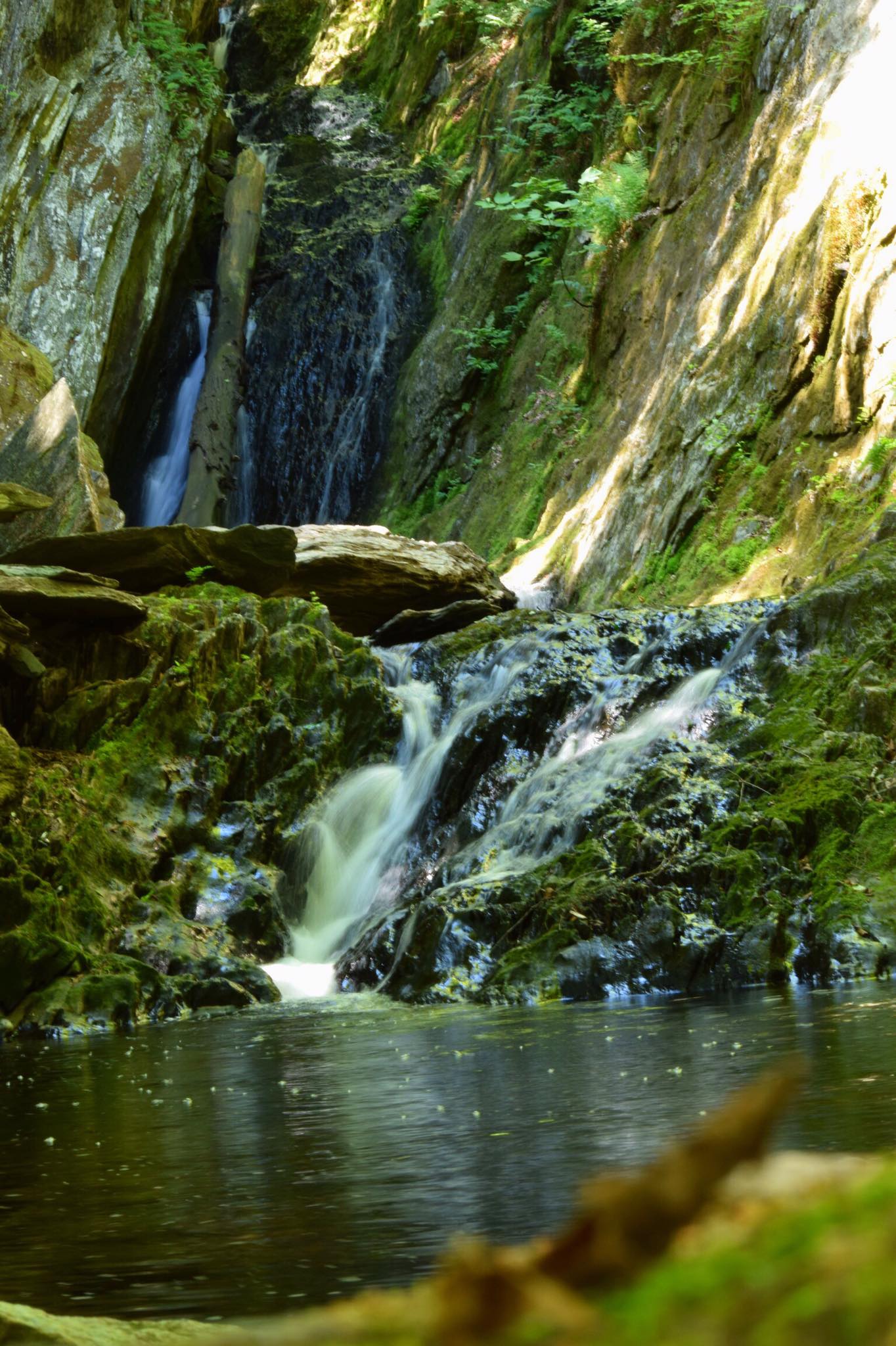 Tannery Falls Loop