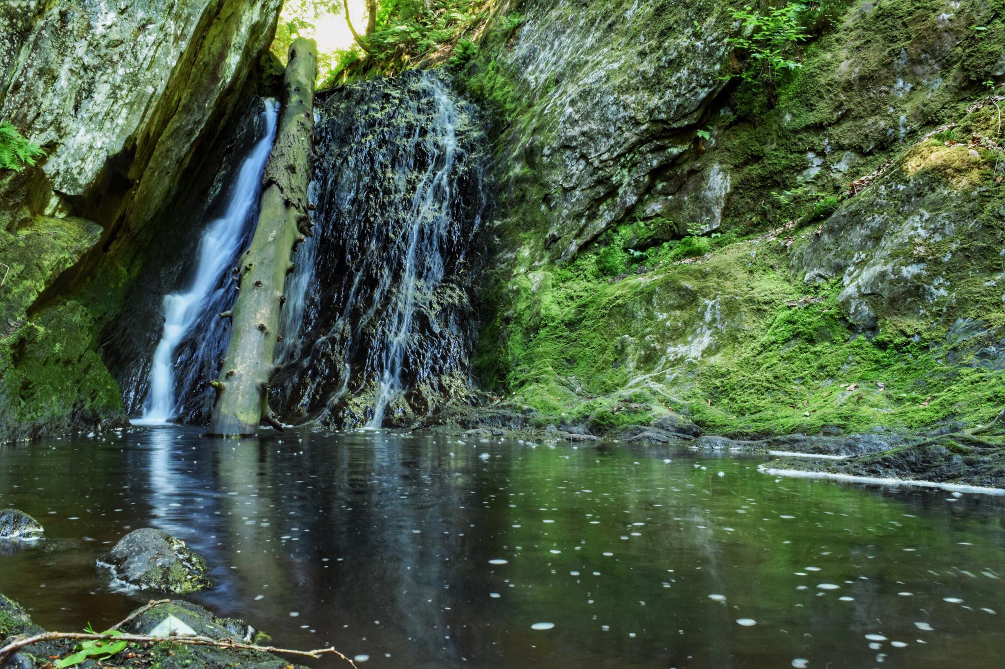 Tannery Falls Loop