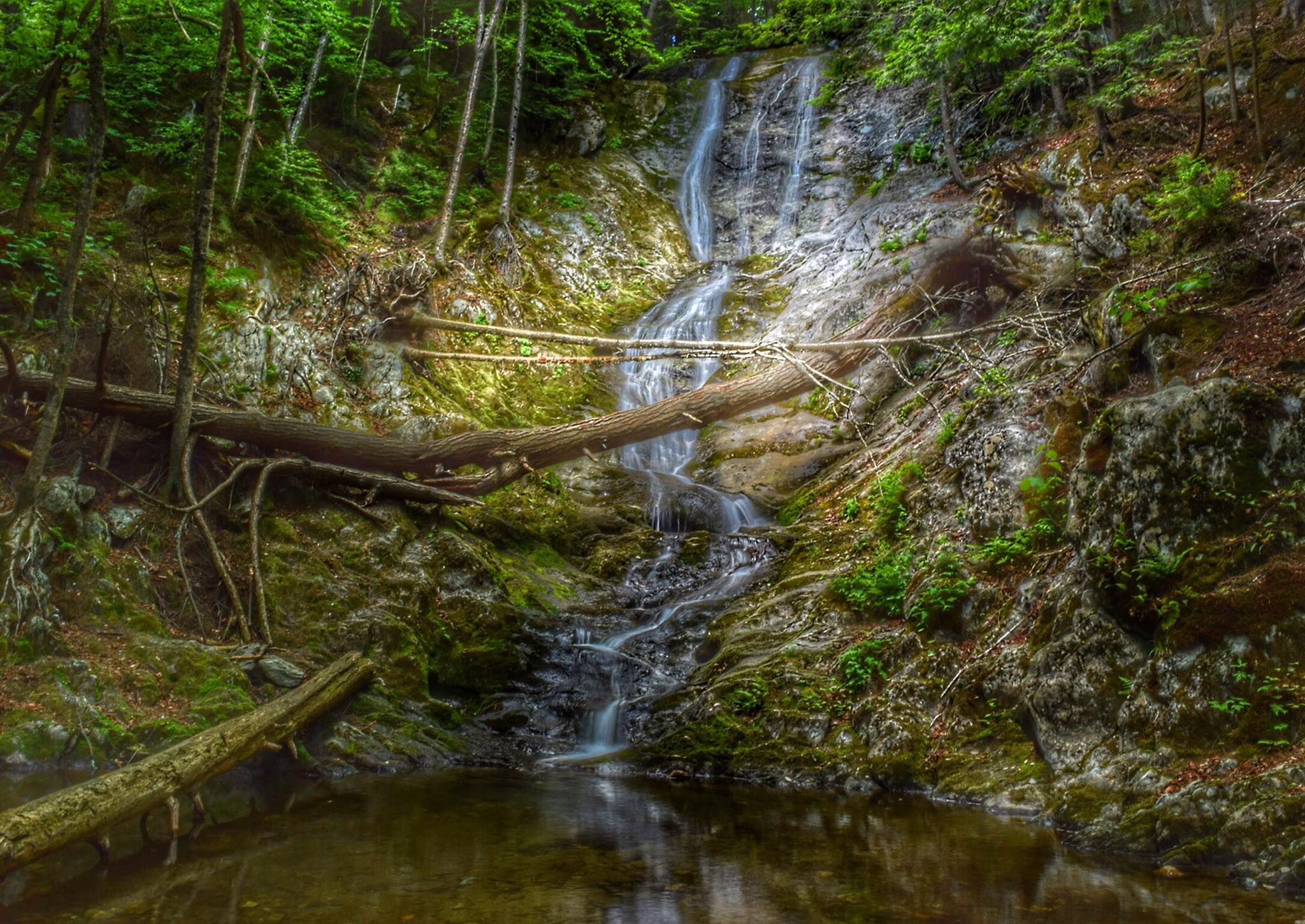 Tannery Falls Loop