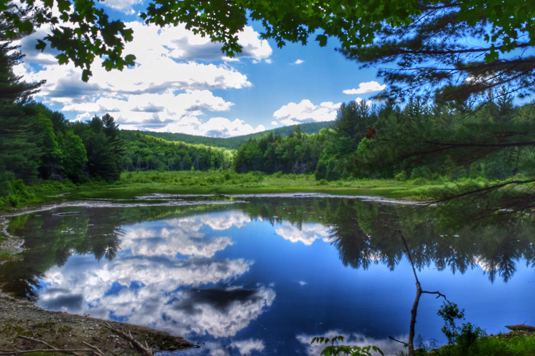 Tannery Falls Loop