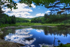 Tannery Falls Loop