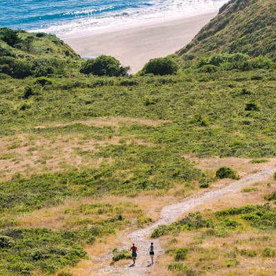 Hike the Sky Trail in Point Reyes