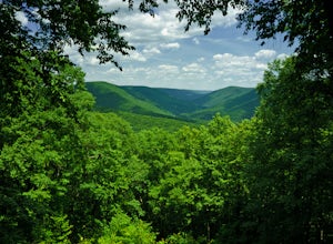 Hike the Gas Line Ridge Loop