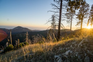 Pat Springs via Skinners Ridge