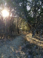 Camp at Dinosaur Valley State Park