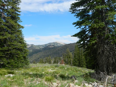 Hike to Baker Lake , Baker Lake Trailhead, Ketchum