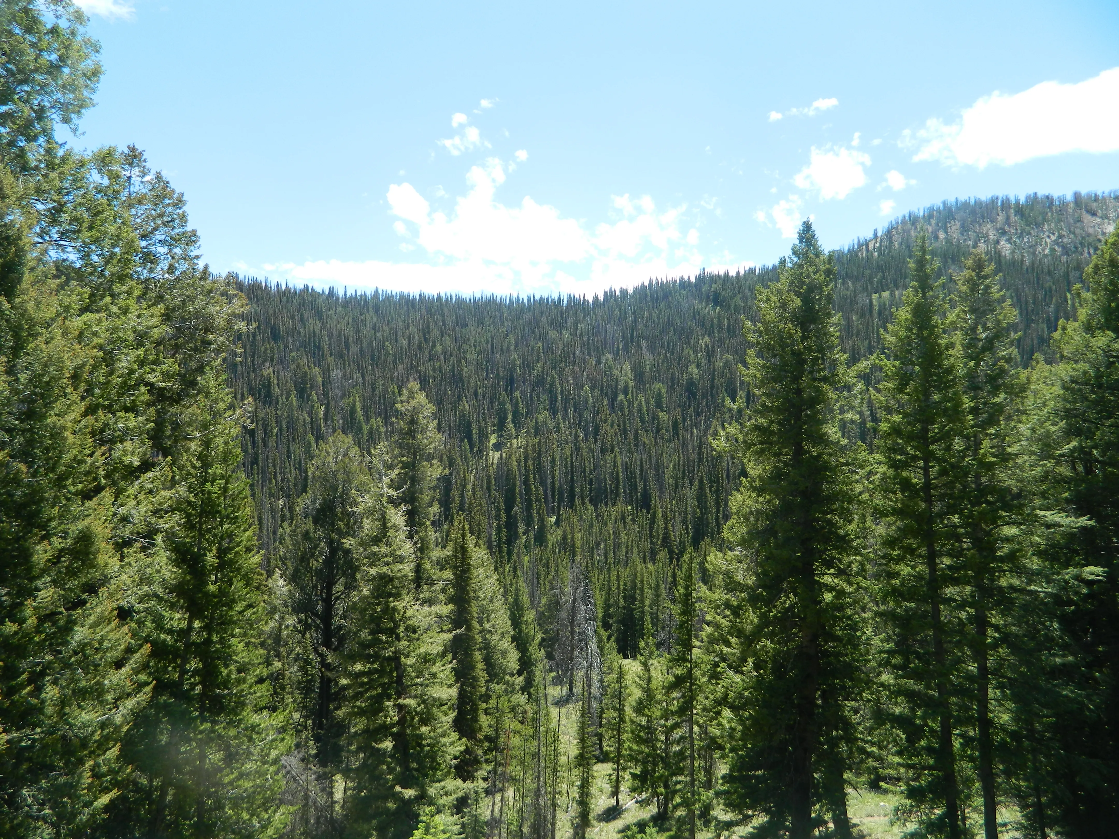 Hike to Baker Lake 