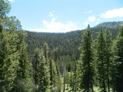 Hike to Baker Lake , Baker Lake Trailhead, Ketchum