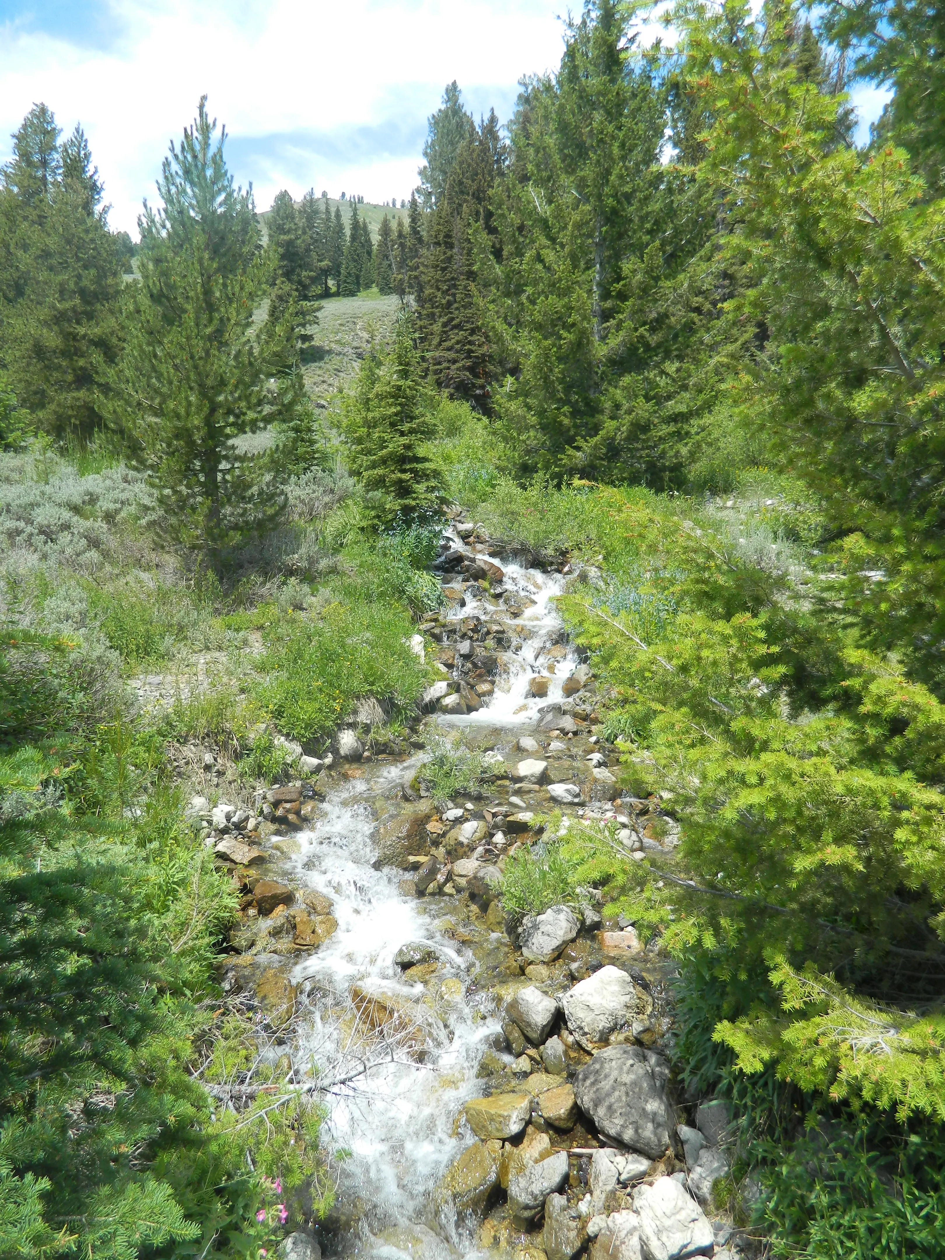 Hike to Baker Lake 