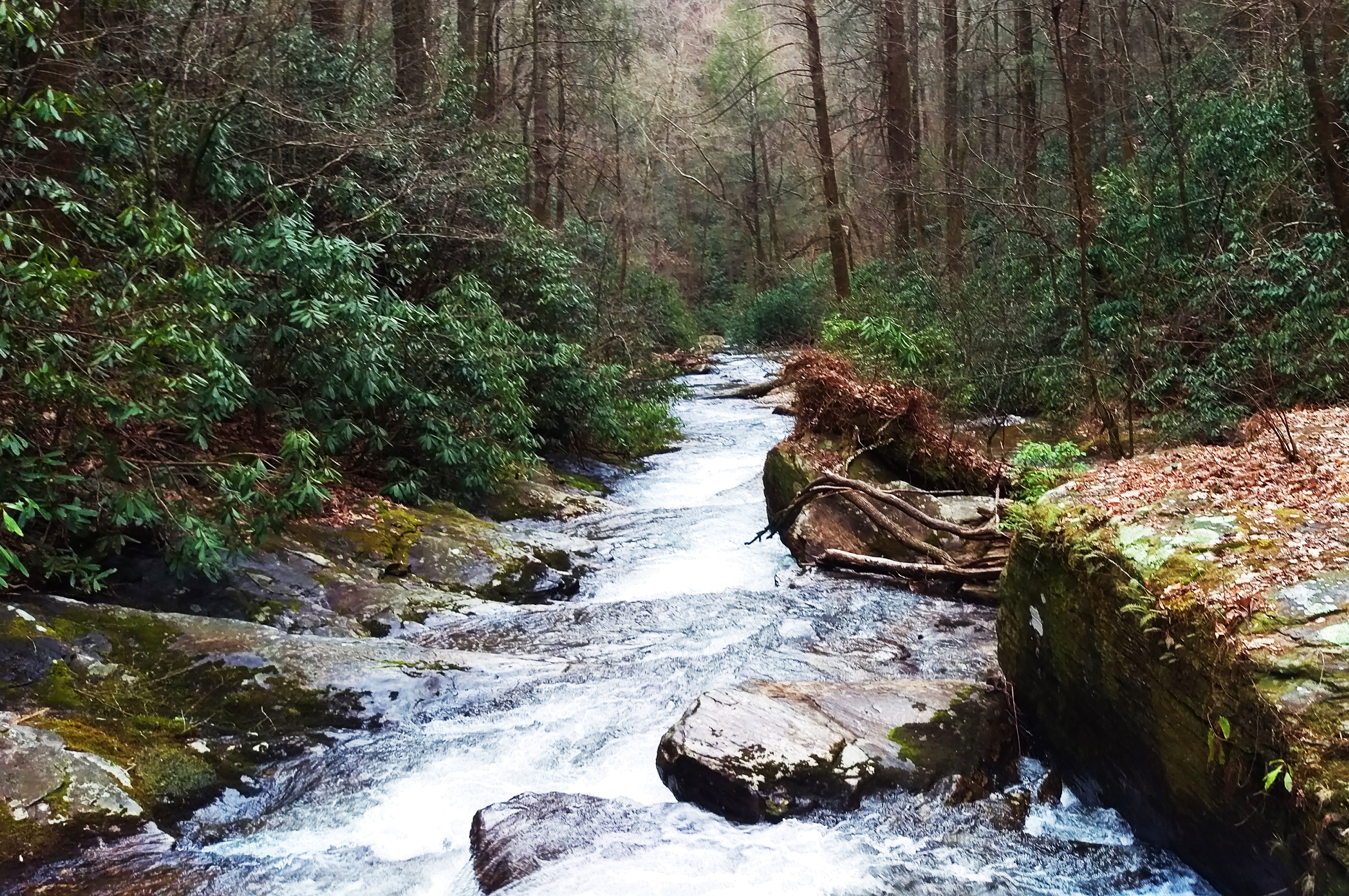 Hike to Dukes Creek Falls