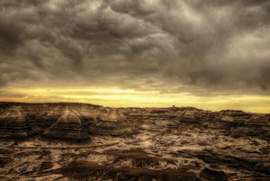 Blue Mesa Trail