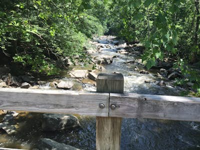 Rapids Bridge Hike in Rock Creek Park
