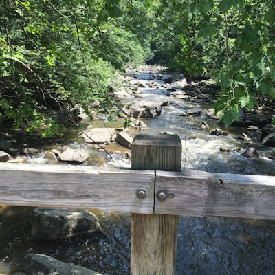Rapids Bridge Hike in Rock Creek Park