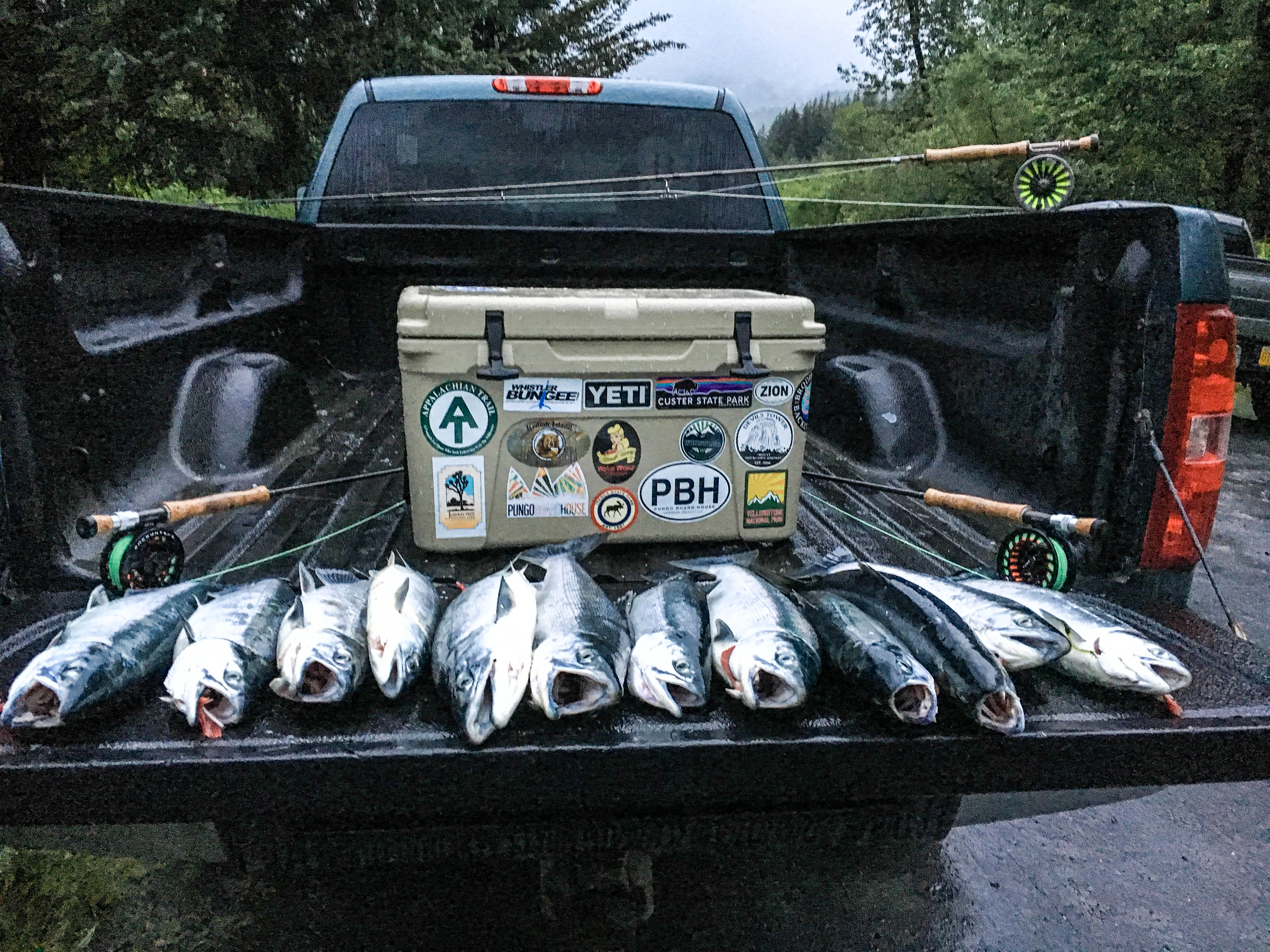 Fly Fish the Buskin River