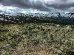 8 Reasons Why Kodiak Alaska Should Be Your Next Epic Adventure